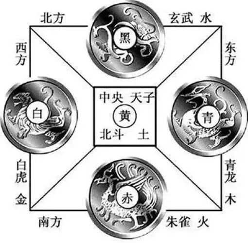 澳门白虎玄机精准玄武|精选解释解析落实