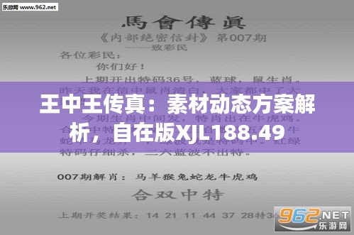 探索数字世界中的王中王传奇-精选解释解析落实