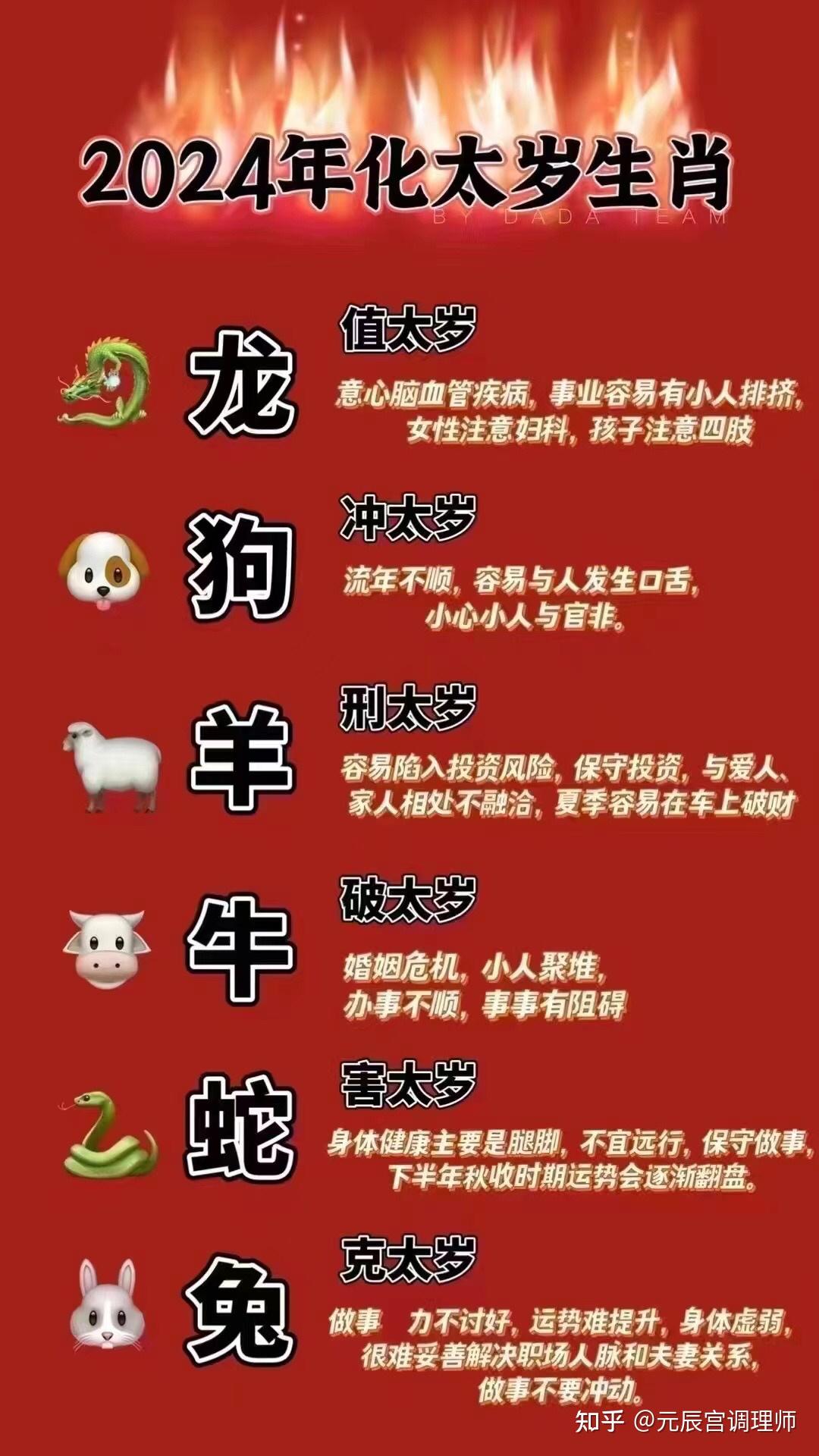 十二生肖与2024-2025年年之49个码-词语释义解释落实