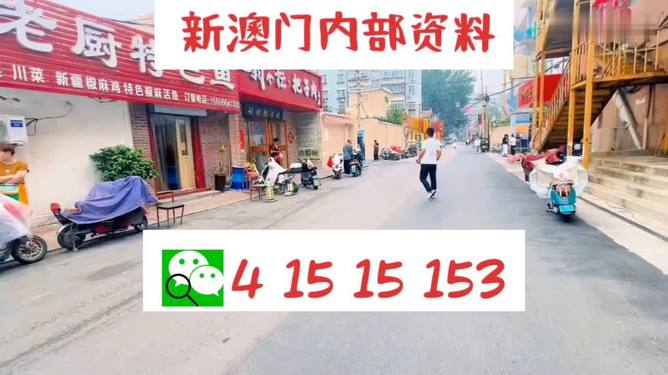 2024-2025年新澳门天天开好彩大全正版-实用释义解释落实