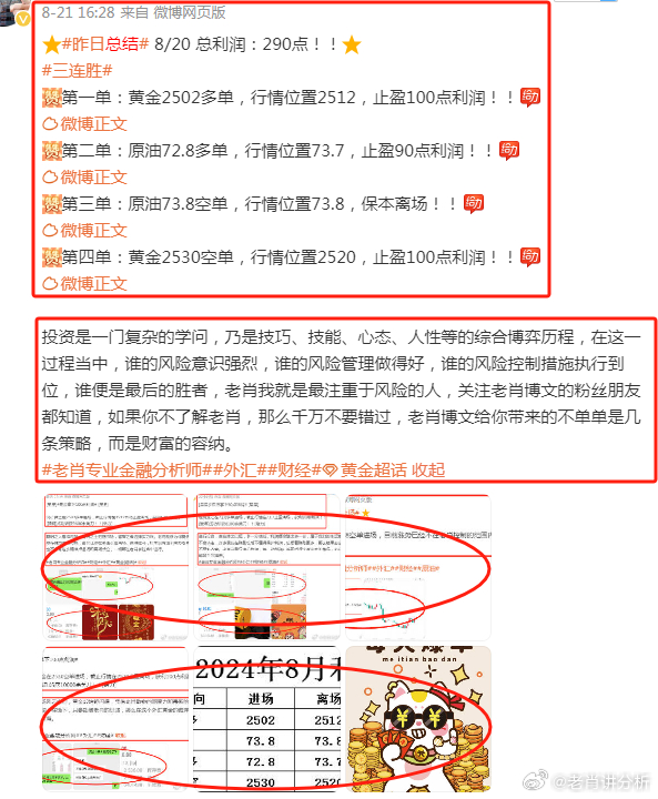 最准一肖100%准确使用方法-词语释义解释落实