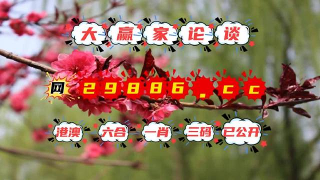 澳门一肖一码一一子-公平解释解析落实