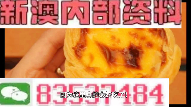 王中王精准特马资料大全,王中王精准特马资料大全，探索与解析