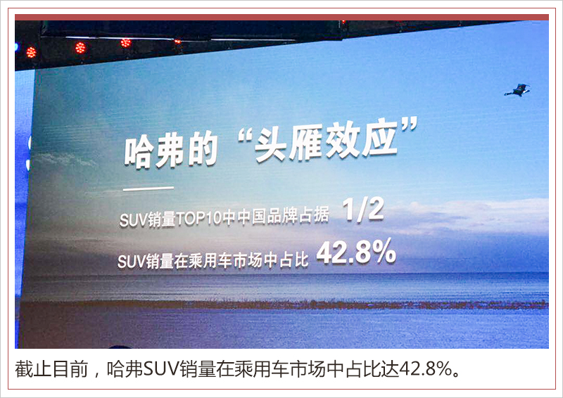 新奥门正版免费资料怎么查|综合研究解释落实