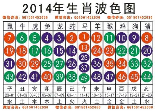 2025十二生肖49码表|词语释义解释落实