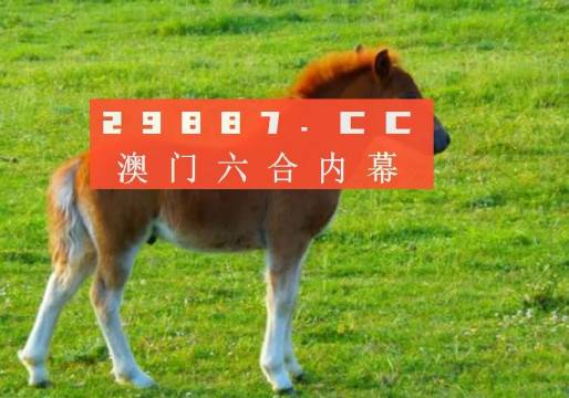 澳门必中一码内部公开发布|词语释义解释落实