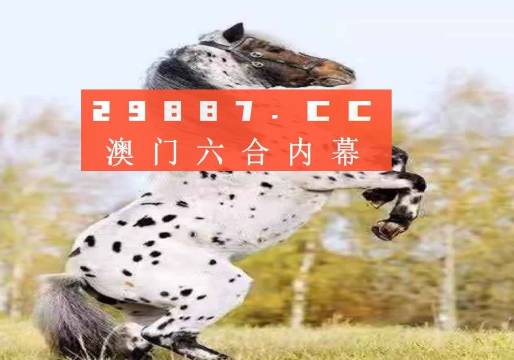 赛事 第577页