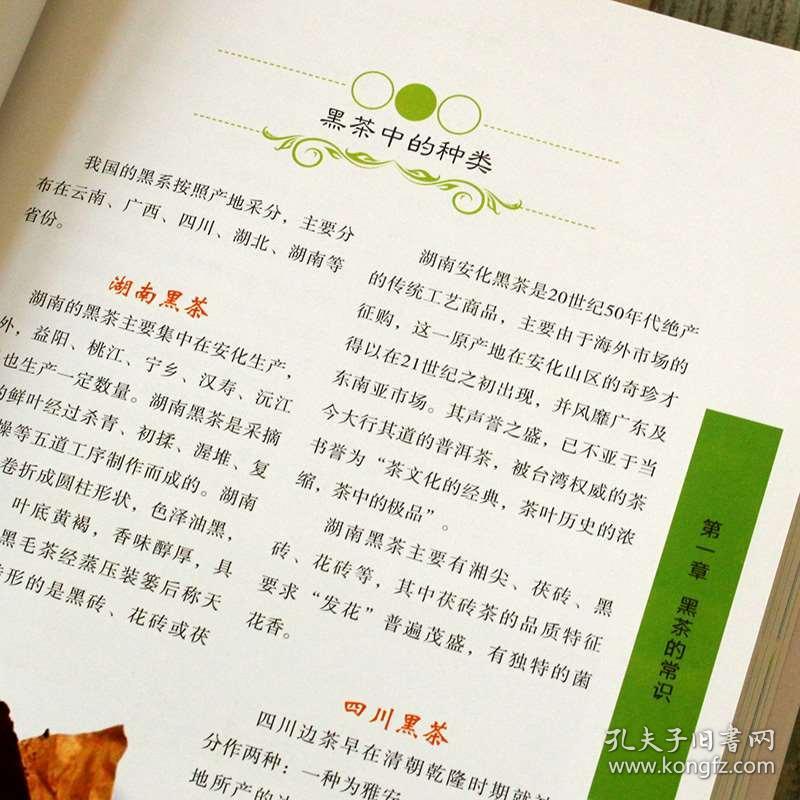 香港四不像资料图正版|讲解词语解释释义