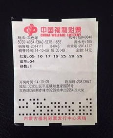 白小姐精准免费四肖四码,白小姐精准免费四肖四码，揭秘彩票预测的神秘面纱