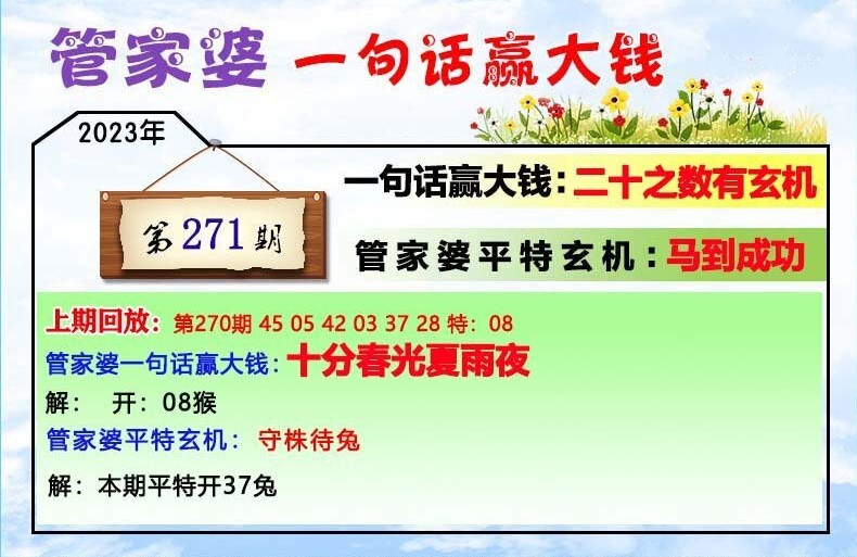 管家婆一码中一肖,揭秘管家婆一码中一肖的神秘面纱