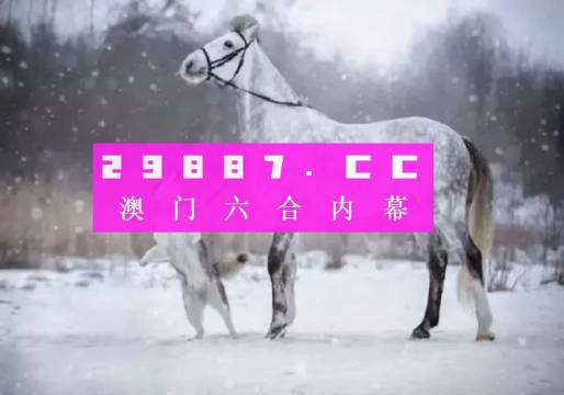澳门精准一肖一码准确,澳门精准一肖一码准确，探索预测的魅力与挑战