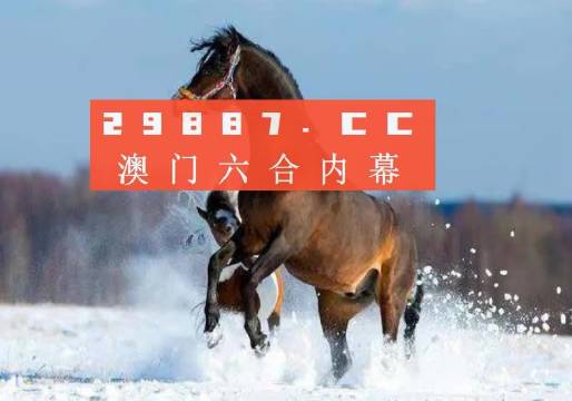 新澳门一肖一码中恃,新澳门一肖一码中恃，探索与解读