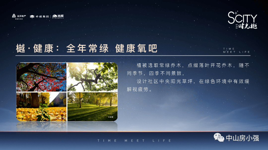 新澳天天免费资料大全,新澳天天免费资料大全——探索与解析