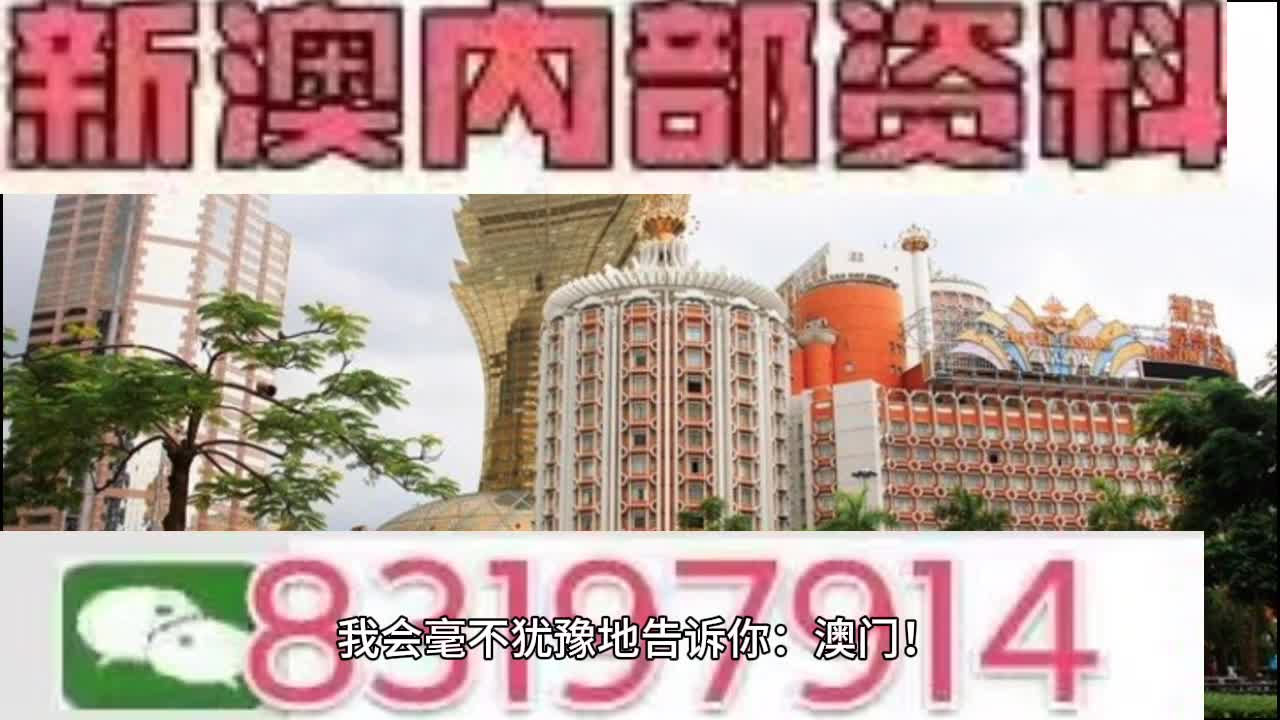 今晚澳门特马开奖结果,今晚澳门特马开奖结果，激情与期待的交汇点