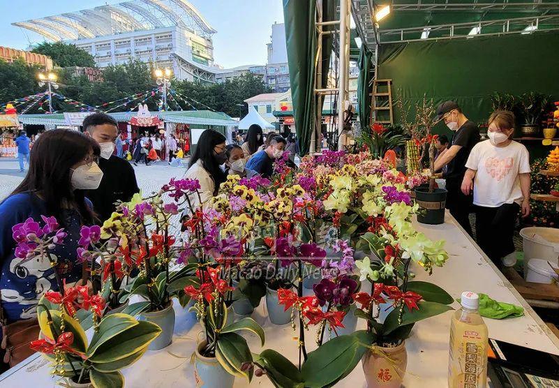 2023新澳门天天开好彩大全,揭秘澳门彩票，新澳门天天开好彩大全（XXXX年）