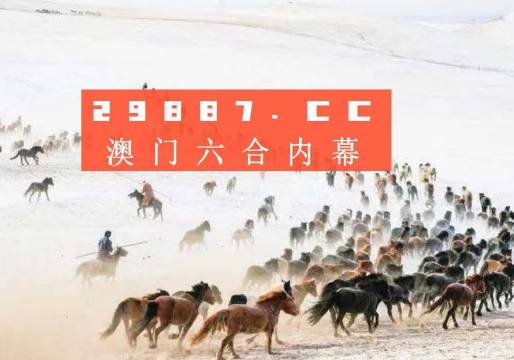 老澳门彩4949最新开奖记录,老澳门彩4949最新开奖记录，历史与未来的交汇点