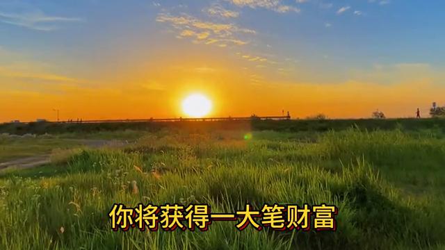 2025香港开奖记录,揭秘香港彩票开奖记录，探寻未来的幸运之门（关键词，香港开奖记录）