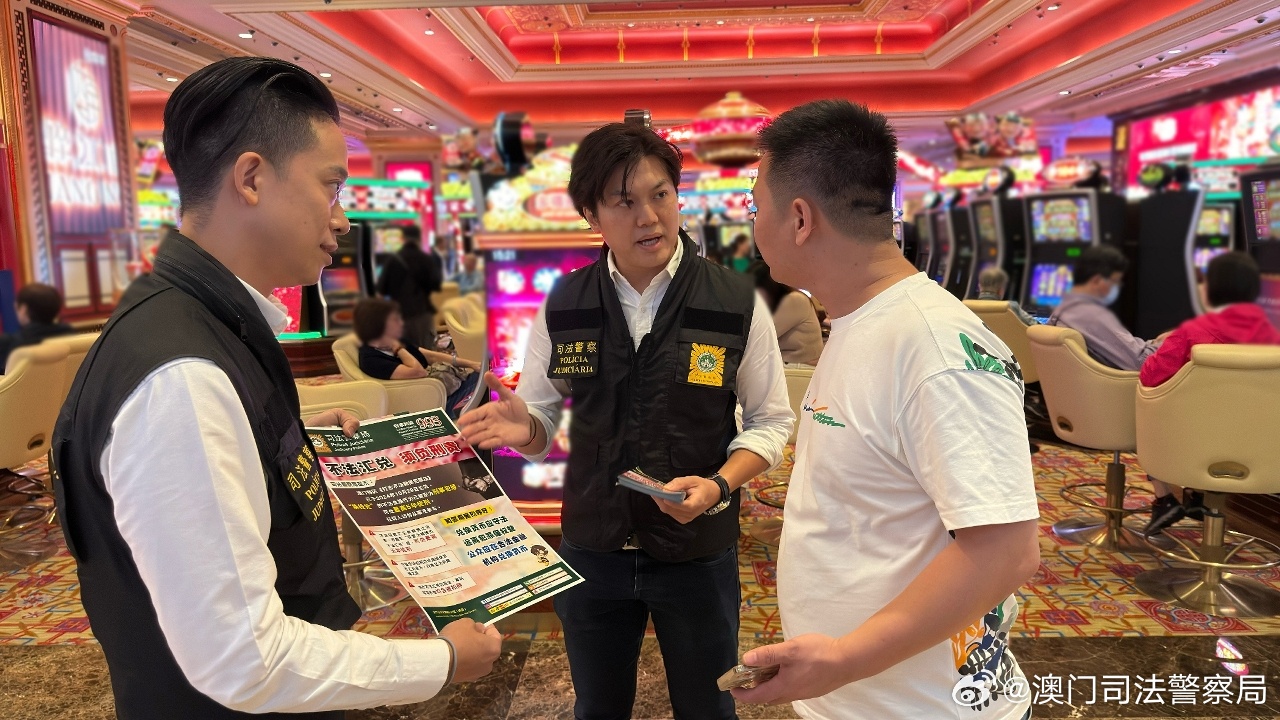 新澳门今晚开特马查询,新澳门今晚开特马查询——探索澳门特马文化的魅力